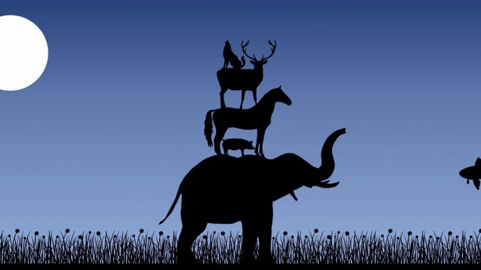 Tiere in der Bibel